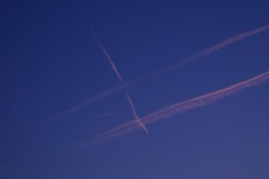 Fot. Magdalena Szutarska