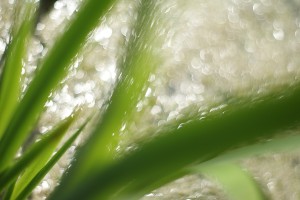 Fot. Magdalena Szutarska