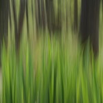 Fot. Magdalena Szutarska