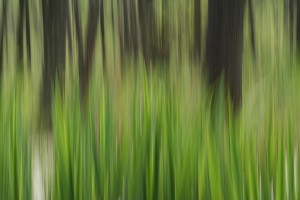 Fot. Magdalena Szutarska