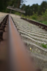 Fot. Magdalena Szutarska