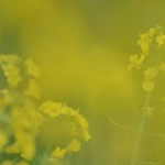 Fot. Maria Findeisen