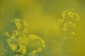 Fot. Maria Findeisen