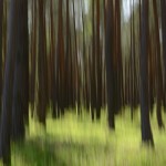 Fot. Maria Findeisen