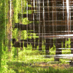 Fot. Maria Findeisen