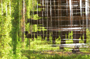 Fot. Maria Findeisen