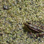 Fot. Maria Findeisen