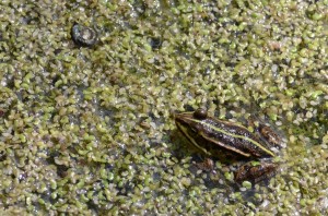 Fot. Maria Findeisen