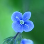 Fot. Maria Findeisen