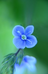 Fot. Maria Findeisen