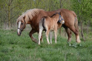 Fot. Maria Findeisen