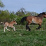 Fot. Maria Findeisen