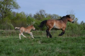 Fot. Maria Findeisen