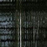 Fot. Maria Findeisen