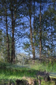 Fot. Maria Findeisen