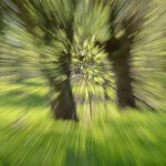 Fot. Maria Findeisen