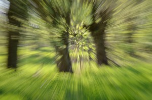 Fot. Maria Findeisen