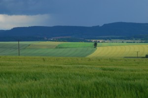 Fot. Zofia Lutoborska