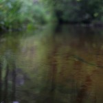 Fot. Bartek Wilczyński