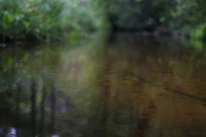 Fot. Bartek Wilczyński