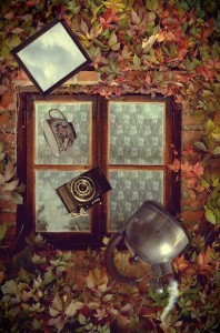 Fot. Karolina Meller