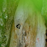 Fot. Karolina Meller