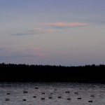 Fot. Karolina Meller