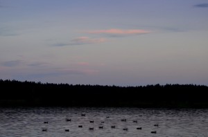 Fot. Karolina Meller