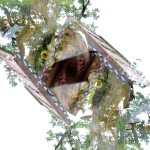 Fot. Karolina Zając