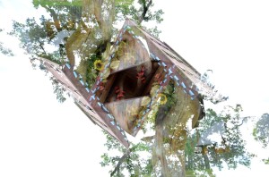 Fot. Karolina Zając