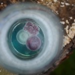 Fot. Karolina Zając