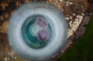 Fot. Karolina Zając