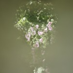 Fot. Karolina Zając