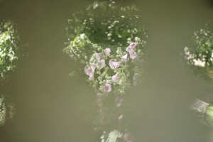 Fot. Karolina Zając