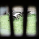 Fot. Karolina Zając