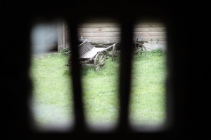 Fot. Karolina Zając