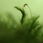 Fot. Karolina Zając