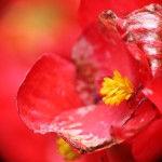 Fot. Katarzyna Makowiecka