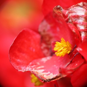 Fot. Katarzyna Makowiecka