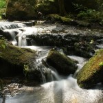 Fot. Miguel Fernandez