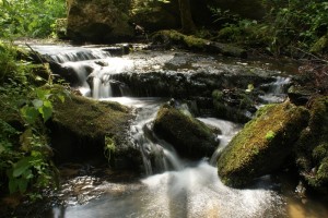 Fot. Miguel Fernandez