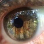 Fot. Miguel Fernandez