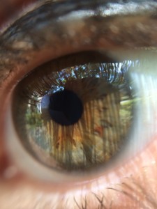 Fot. Miguel Fernandez