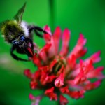 Fot. Weronika Banaszczyk