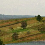 Fot. Weronika Banaszczyk