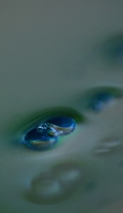 Fot. Weronika Banaszczyk