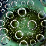 Fot. Weronika Banaszczyk