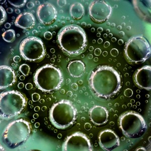 Fot. Weronika Banaszczyk