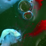 Fot. Weronika Banaszczyk