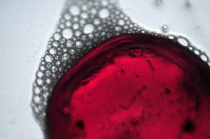 Fot. Weronika Banaszczyk